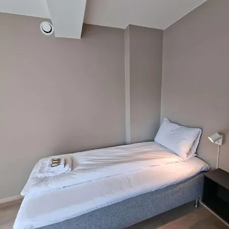 Stylish 3-bedroom With Modern Amenities Near Center Apartment